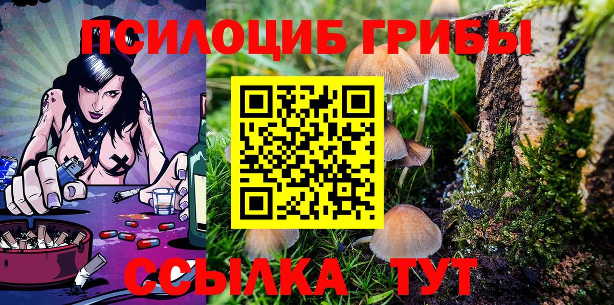 Псилоцибиновые грибы Psilocybe Корсаков