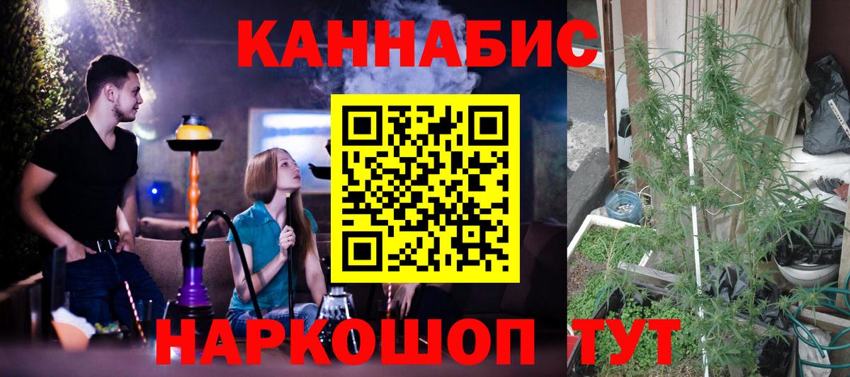 Каннабис планчик  Бошки Шишки гибрид  Вход с VPN  Корсаков  Бошки Шишки THC 21% 